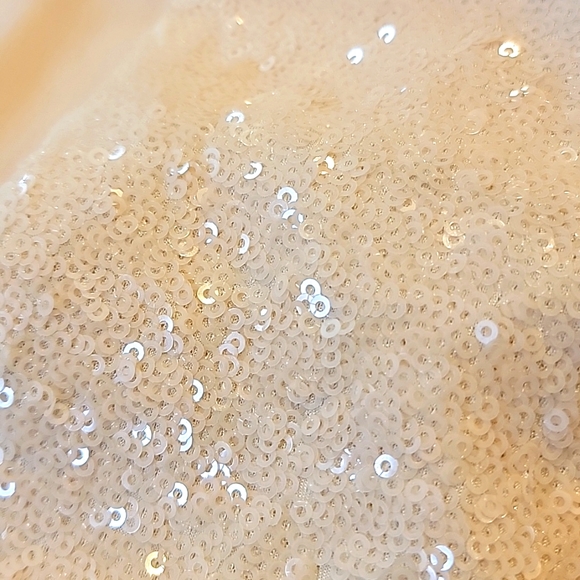 Dress The Population V-Neck Cap Sleeve Cream Sequin Zoe Dress S RARE - Picture 4 of 4